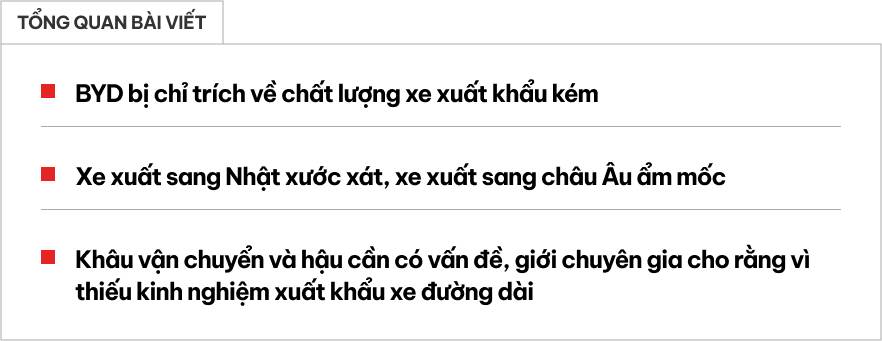 Vận chuyển đường dài - Bài toán khó thách thức chất lượng xe BYD xuất từ Trung Quốc đi quốc tế- Ảnh 1.