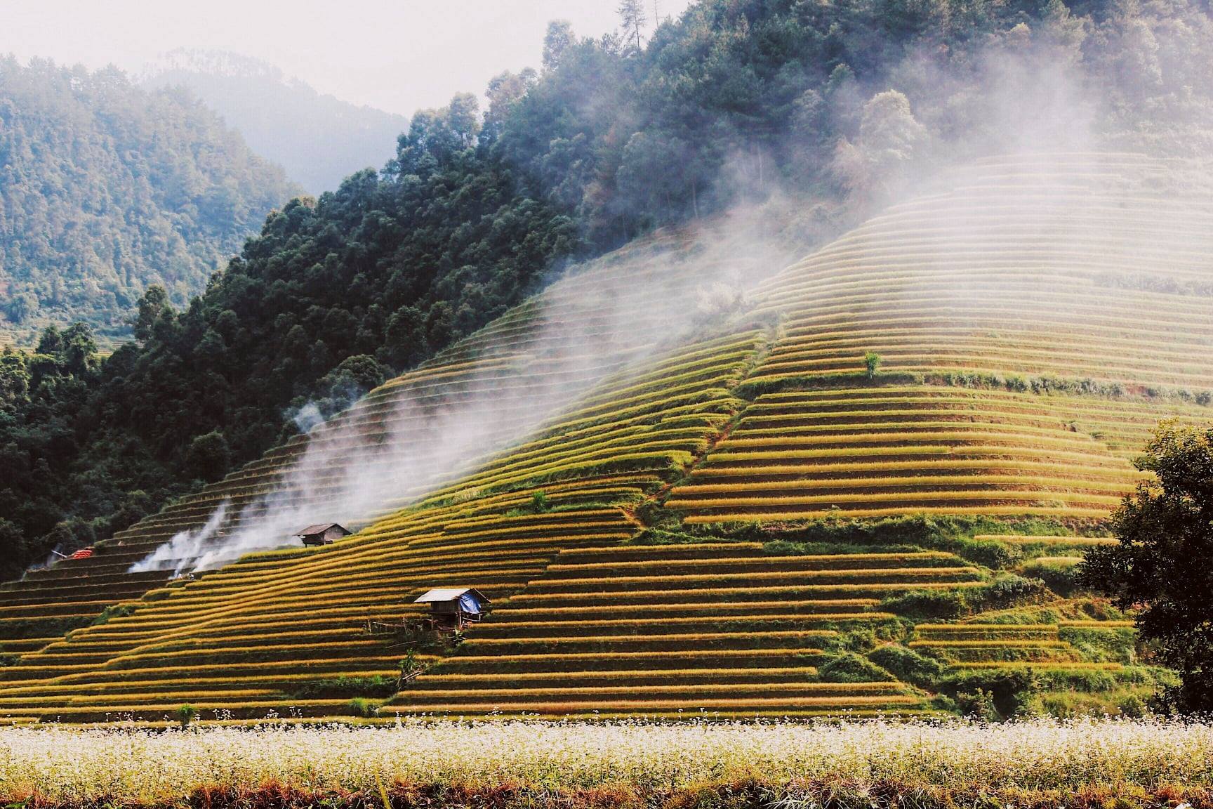 Huyện miền núi lọt danh sách "điểm đến có vẻ đẹp siêu thực", cách Hà Nội 300km, đường lên khó hơn Sa Pa- Ảnh 12. Huyện miền núi lọt danh sách "điểm đến có vẻ đẹp siêu thực", cách Hà Nội 300km, đường lên khó hơn Sa Pa- Ảnh 12.