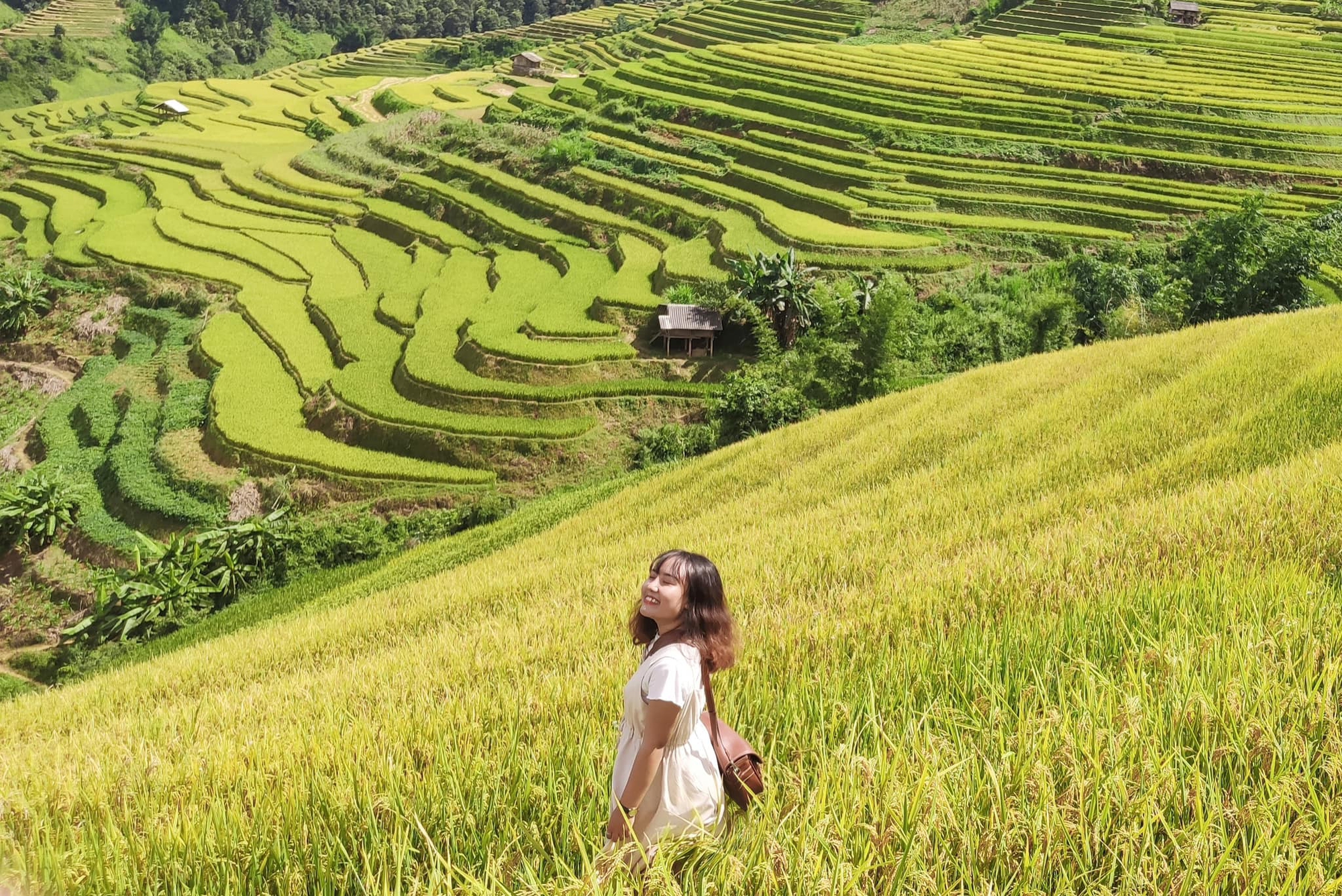 Huyện miền núi lọt danh sách "điểm đến có vẻ đẹp siêu thực", cách Hà Nội 300km, đường lên khó hơn Sa Pa- Ảnh 9. Huyện miền núi lọt danh sách "điểm đến có vẻ đẹp siêu thực", cách Hà Nội 300km, đường lên khó hơn Sa Pa- Ảnh 9.