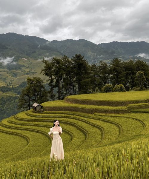 Huyện miền núi lọt danh sách "điểm đến có vẻ đẹp siêu thực", cách Hà Nội 300km, đường lên khó hơn Sa Pa- Ảnh 14. Huyện miền núi lọt danh sách "điểm đến có vẻ đẹp siêu thực", cách Hà Nội 300km, đường lên khó hơn Sa Pa- Ảnh 14.