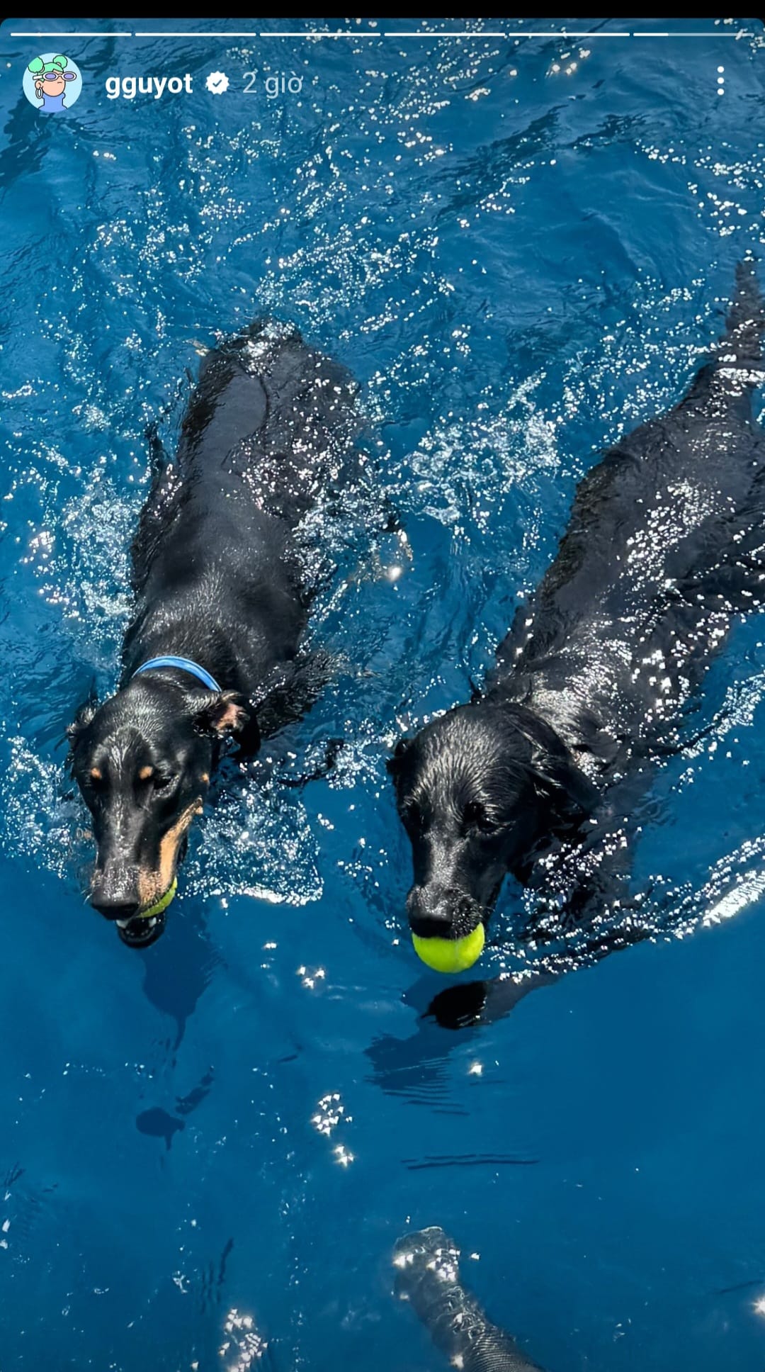 Hot: Báo Hàn "bắt gọn" Lisa diện kiến bố mẹ chồng tỷ phú tương lai- Ảnh 4. Hot: Báo Hàn "bắt gọn" Lisa diện kiến bố mẹ chồng tỷ phú tương lai- Ảnh 4.