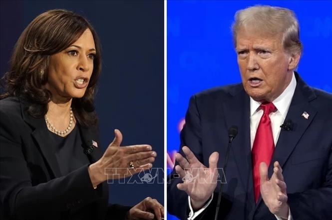 Bầu cử Mỹ 2024: B&agrave; Harris 'v&ocirc; hiệu h&oacute;a' lợi thế quan trọng của &ocirc;ng Trump- Ảnh 1.