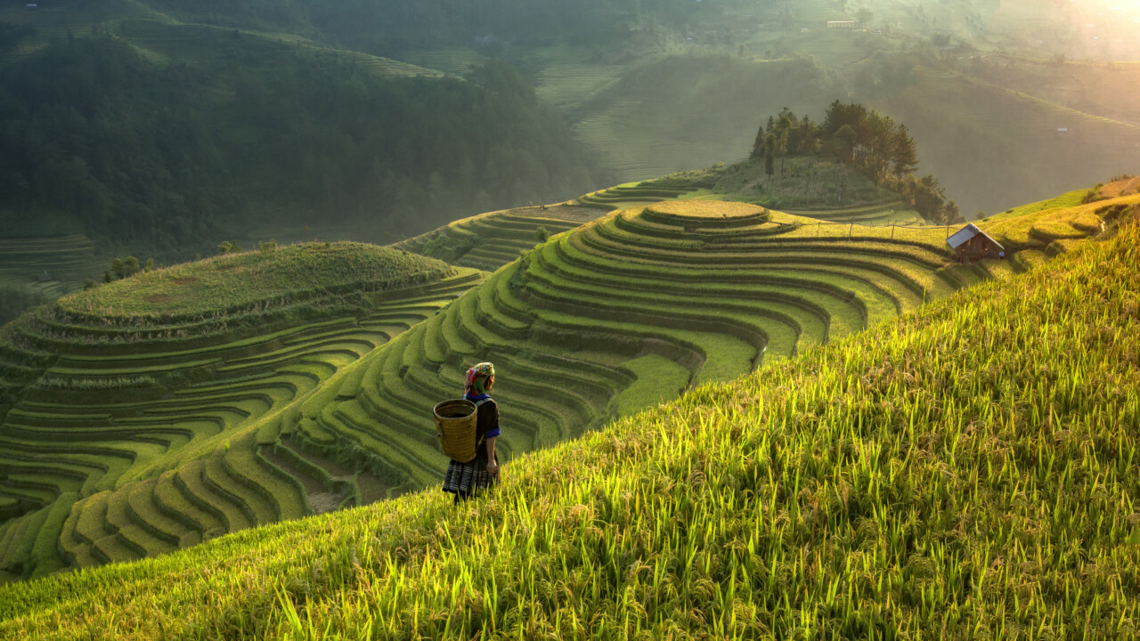 Huyện miền núi lọt danh sách "điểm đến có vẻ đẹp siêu thực", cách Hà Nội 300km, đường lên khó hơn Sa Pa- Ảnh 1. Huyện miền núi lọt danh sách "điểm đến có vẻ đẹp siêu thực", cách Hà Nội 300km, đường lên khó hơn Sa Pa- Ảnh 1.