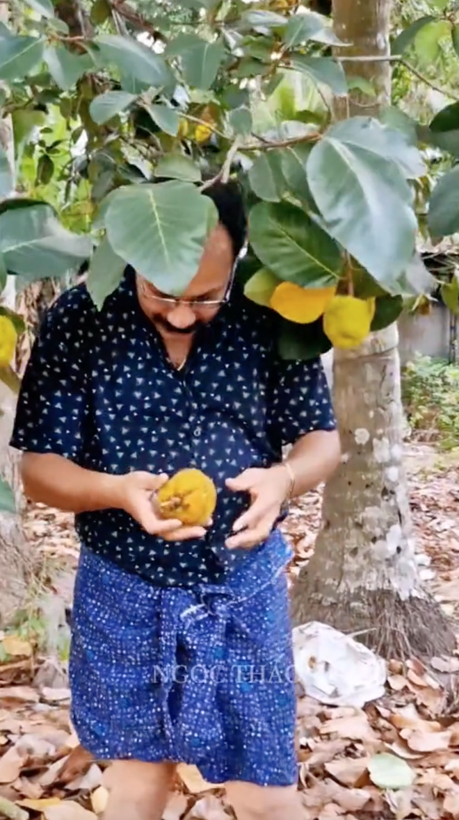 Loại mít "ngon nhất thế giới" tại Việt Nam: Đắt gấp 5 lần mít Thái, quả nhỏ xíu nhưng nhiều người quyết mua bằng được- Ảnh 4. Loại mít "ngon nhất thế giới" tại Việt Nam: Đắt gấp 5 lần mít Thái, quả nhỏ xíu nhưng nhiều người quyết mua bằng được- Ảnh 4.