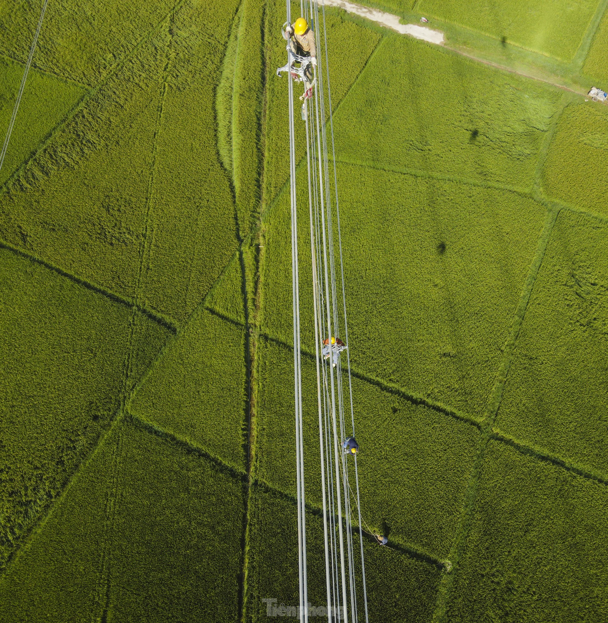 Clip người nhện đi như xiếc trên đường dây 500kV qua Hà Tĩnh - Ảnh 4.