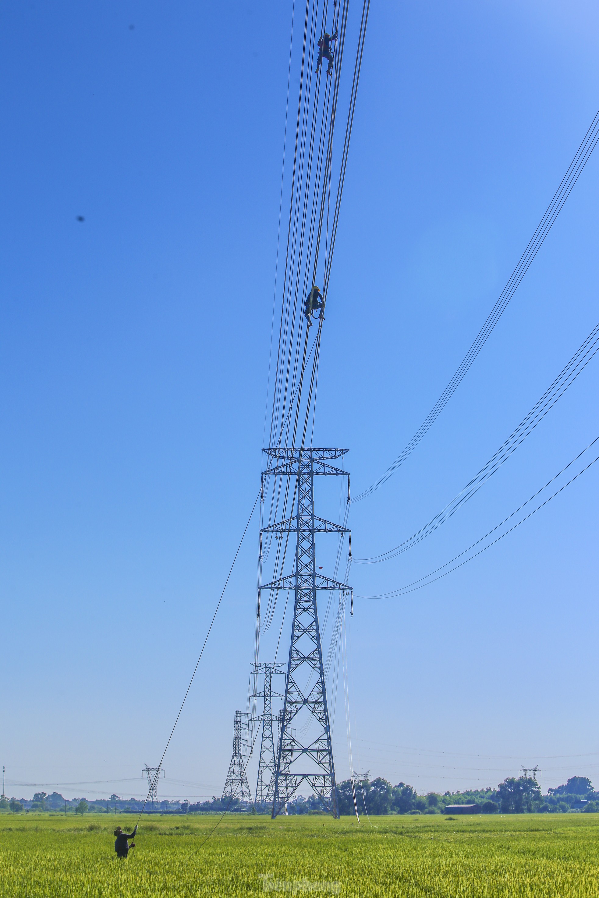Clip người nhện đi như xiếc trên đường dây 500kV qua Hà Tĩnh - Ảnh 9.