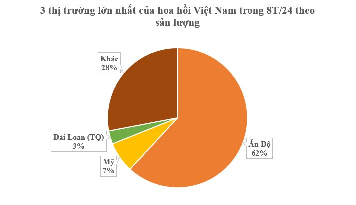  - Ảnh 2.