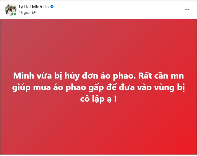 Dàn sao Việt quyên góp lớn, tận tay gửi nhu yếu phẩm cứu trợ đồng bào bão lũ- Ảnh 3.