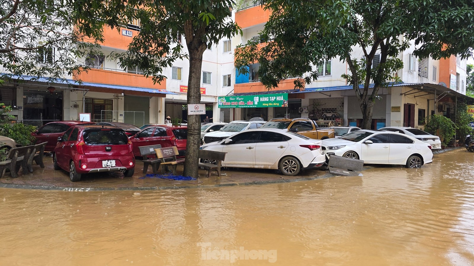 Nhiều tài sản bạc tỷ trồi lên sau lũ rút ở Thái Nguyên - Ảnh 14.