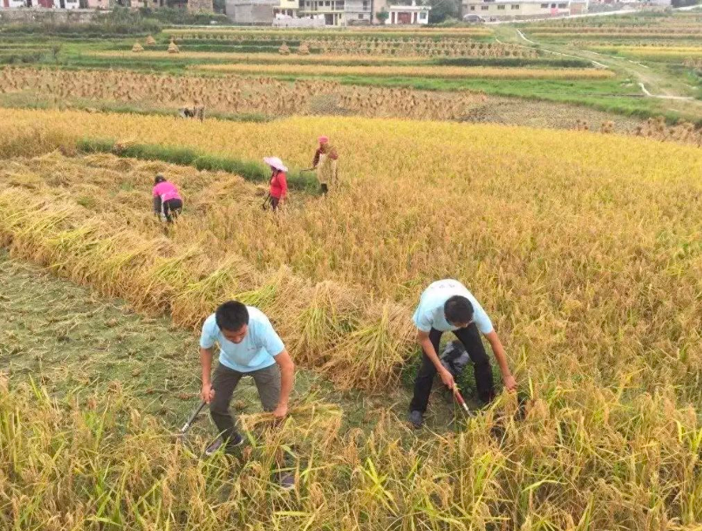 Cho cháu vay 10 triệu , 23 năm Sau nhận về căn nhà mới và cuộc sống giàu sang - Ảnh 2.