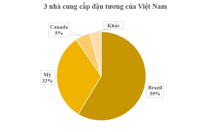 Không phải gạo hay lúa mì, 3 cường quốc của thế giới đua nhau đưa một loại hạt giá rẻ đến Việt Nam: Nhập khẩu tăng hơn 200% chỉ trong 1 tháng, nước ta nhập khẩu đứng thứ 3 toàn cầu- Ảnh 4.