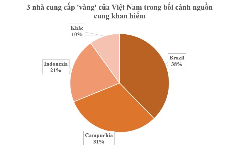 Cứu tinh từ Campuchia, Brazil đổ bộ giúp Việt Nam 'nắm trùm' cả thế giới: Chiếm giữ 60% thị phần toàn cầu, 120 quốc gia liên tục chốt đơn- Ảnh 2.