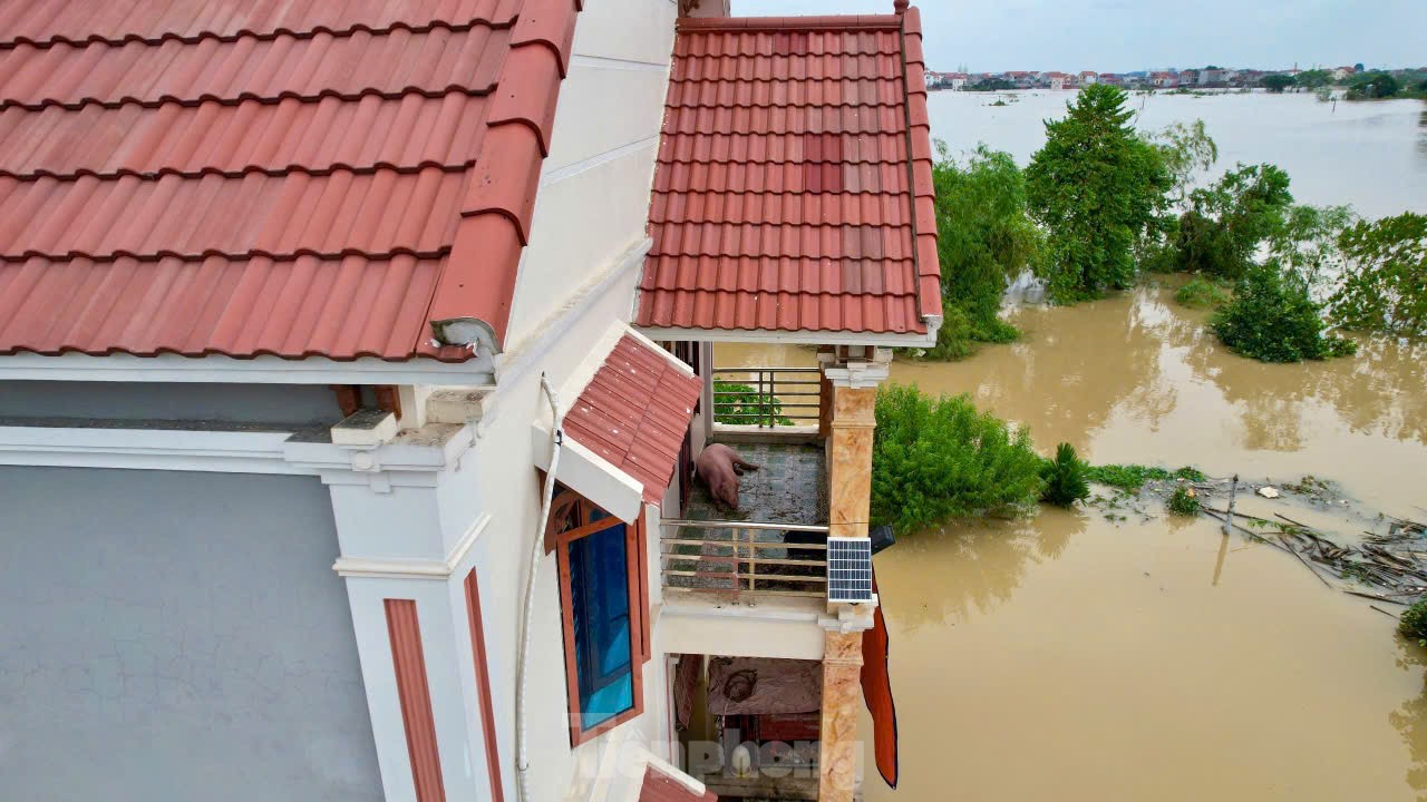 Nước ngập tới mái nhà Sóc Sơn , dân làng sống cô lập giữa ' ốc đảo ' - Ảnh 10.