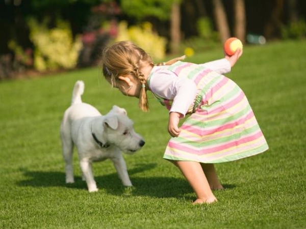 Cậu bé đi chơi về, đứng ở cửa cả buổi nhưng không dám vào nhà, nhìn sinh vật dưới chân mà mẹ giật mình - Ảnh 3.