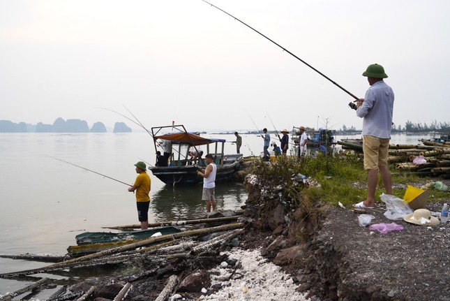 Nghề 'hot' sau bão ở Hạ Long, ngồi chơi cũng kiếm tiền triệu- Ảnh 13.