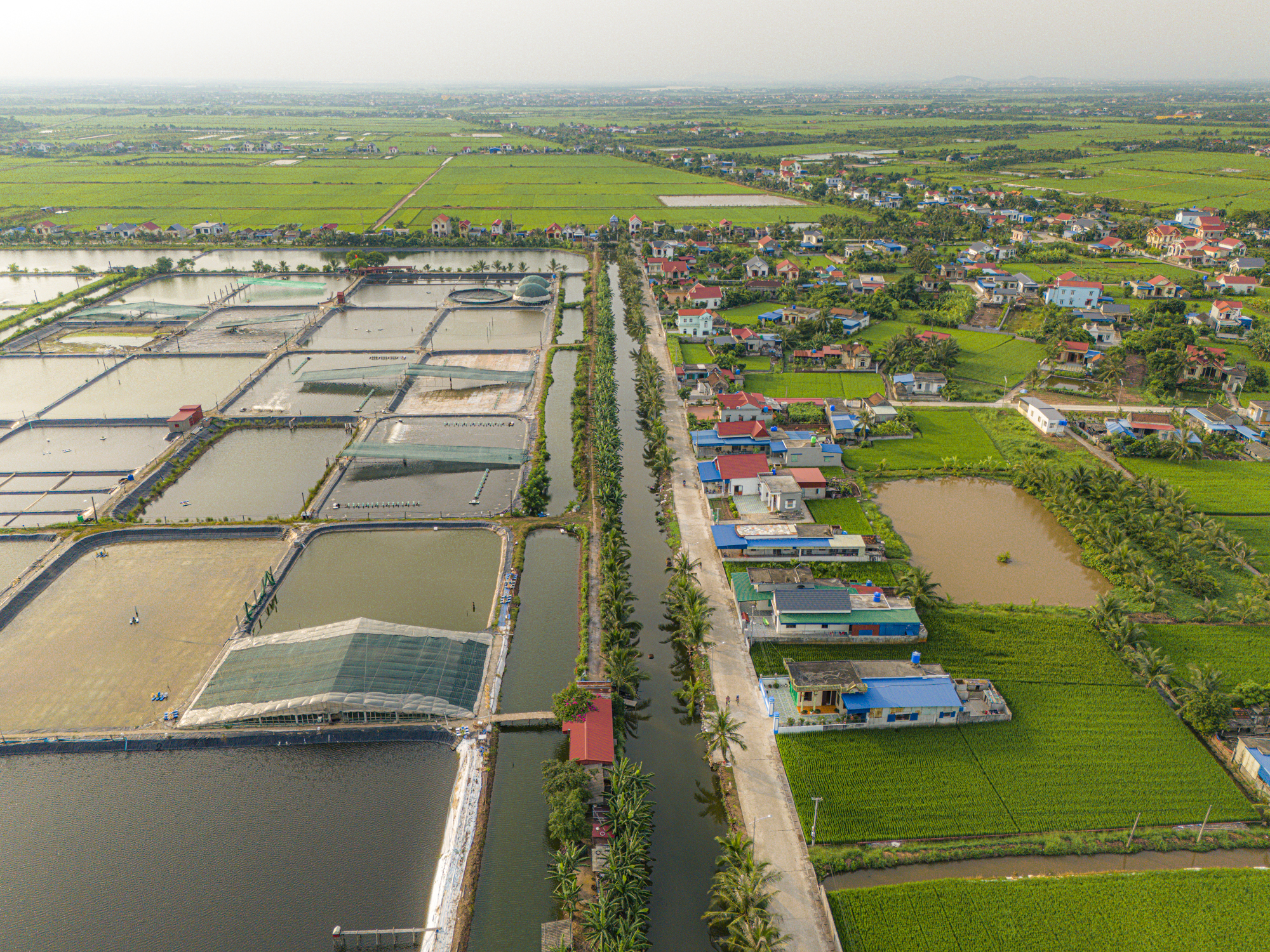 Toàn cảnh khu vực được đề xuất xây sân bay quốc tế thứ 2 tại thành phố Hải Phòng, cách sân bay Cát Bi chỉ 35 km- Ảnh 12.