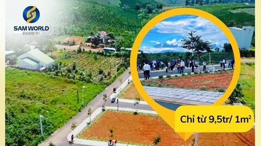 Bắt Giám đốc Lê Văn Xá - Ảnh 1.