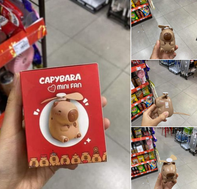 Chuột Capybara có gì mà khiến tụi nhỏ mê mẩn: Từ gấu bông, kẹp tóc, bình sữa, sticker được các em bé săn lùng- Ảnh 7.