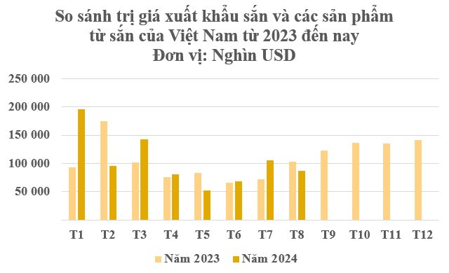 Trồng loại cây lấy củ ‘tỷ đô’, Việt Nam vươn lên trở thành ông trùm đứng thứ 2 thế giới: Trung Quốc có bao nhiêu mua bấy nhiêu, nước ta có sản lượng 10 triệu tấn mỗi năm- Ảnh 3.