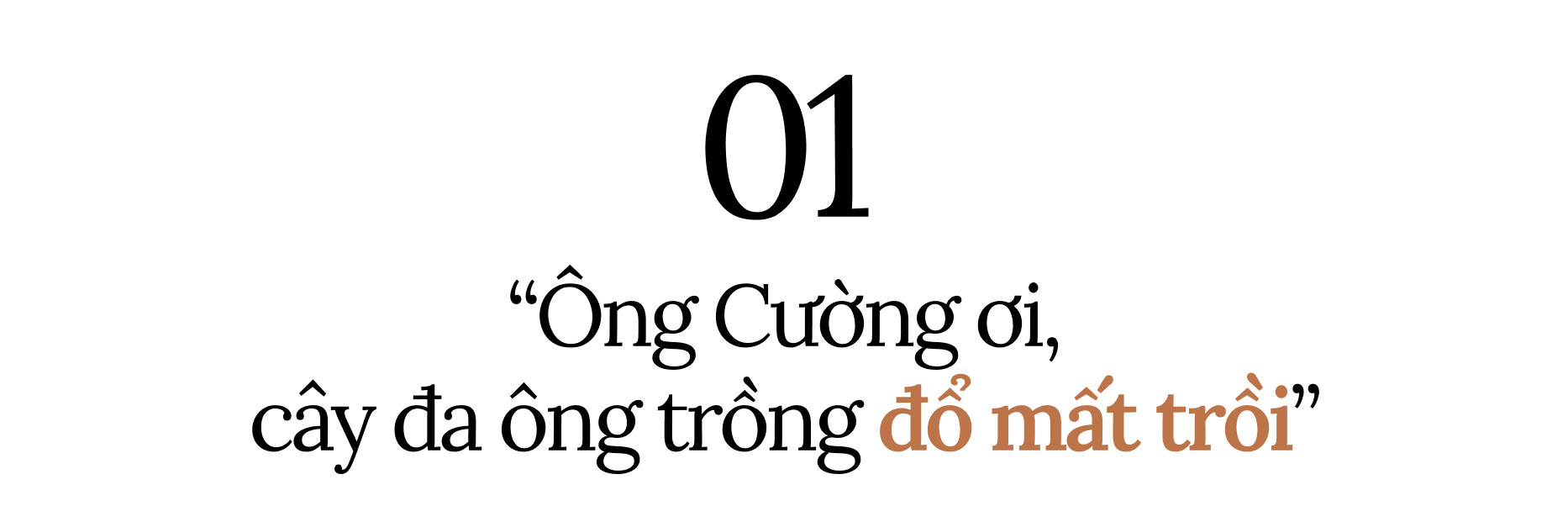 Chuyện tình của cụ ông trồng cây đa với người vợ đẹp nhất phố Phùng Hưng: 86 tuổi, vẫn yêu đến tận cùng chữ yêu!- Ảnh 1.