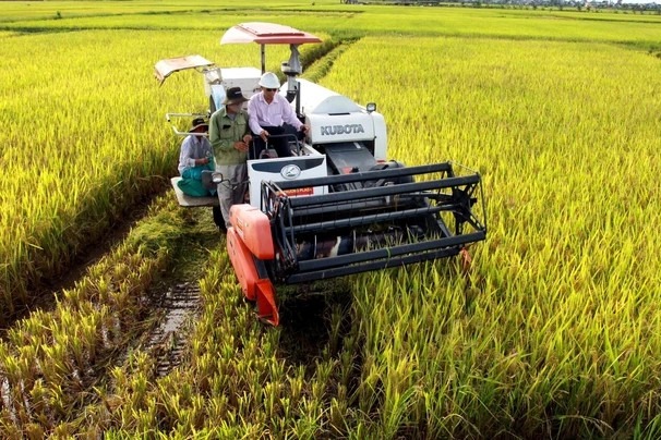 Việt Nam có cơ hội lớn tham gia thị trường 100 tỷ USD, “tiền không phải là vấn đề” nhưng 1 thứ cần lưu ý - Ảnh 1.