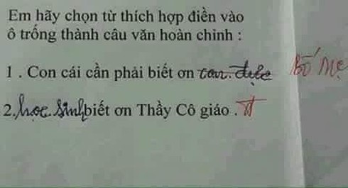 Đề bài yêu cầu "Viết 1, 2 câu cảm động về câu chuyện Hai anh em", học sinh ngoáy bút 4 từ không ai ngờ! - Ảnh 2.