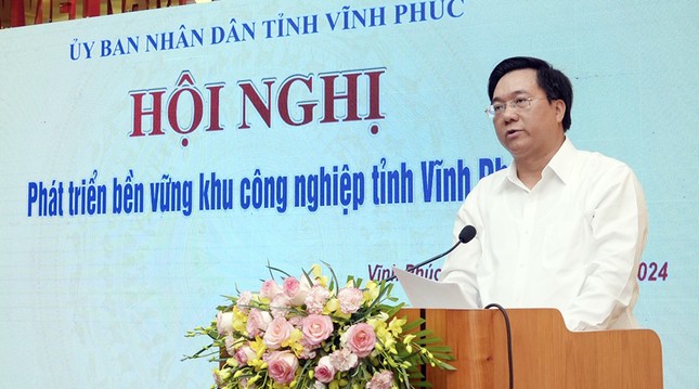 'Đại bàng' ngoại đầu tư gì, đổ bao nhiêu tiền vào Vĩnh Phúc?- Ảnh 1.