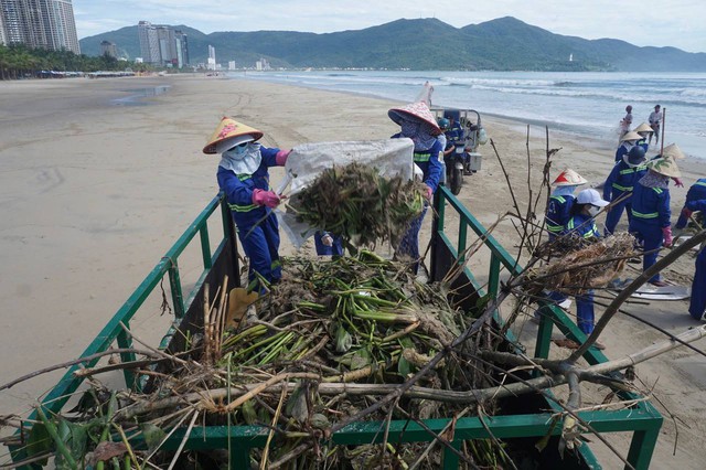 Kim tiêm lẫn 10 tấn rác thải tràn ngập bãi biển Đà Nẵng sau bão số 4 - Ảnh 12.