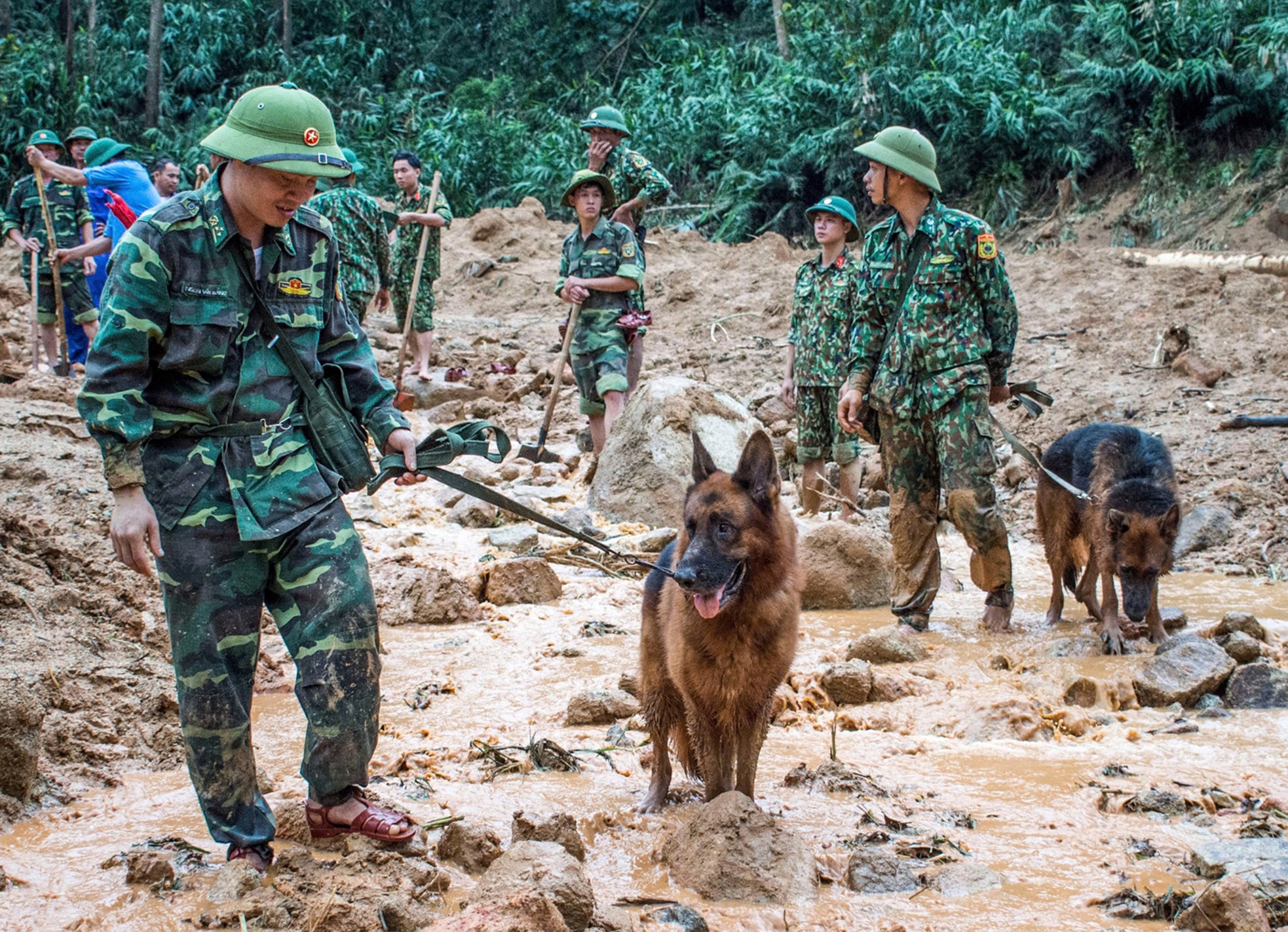 Cảm động những chú quân khuyển Biên phòng tìm kiếm tại Làng Nủ - Ảnh 4.