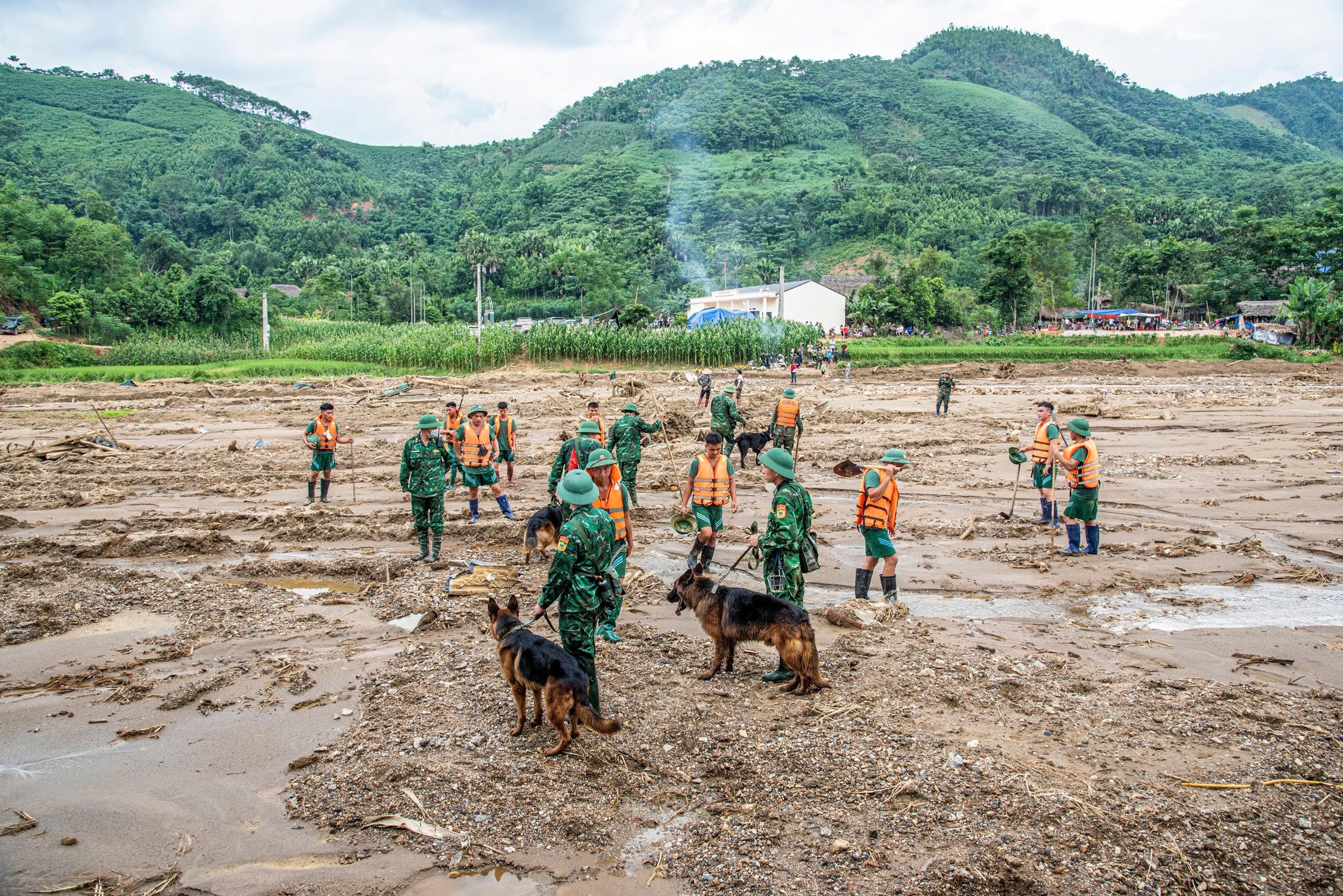 Cảm động những chú quân khuyển Biên phòng tìm kiếm tại Làng Nủ - Ảnh 5.