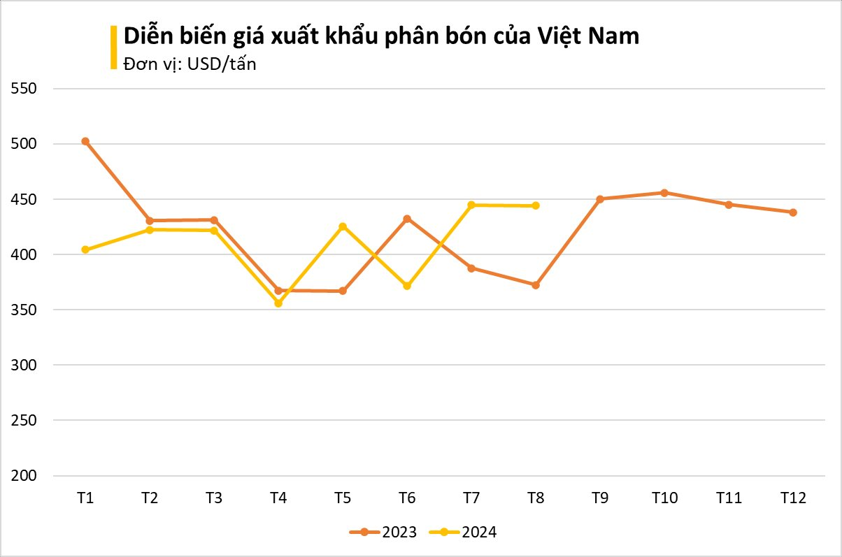  - Ảnh 3.