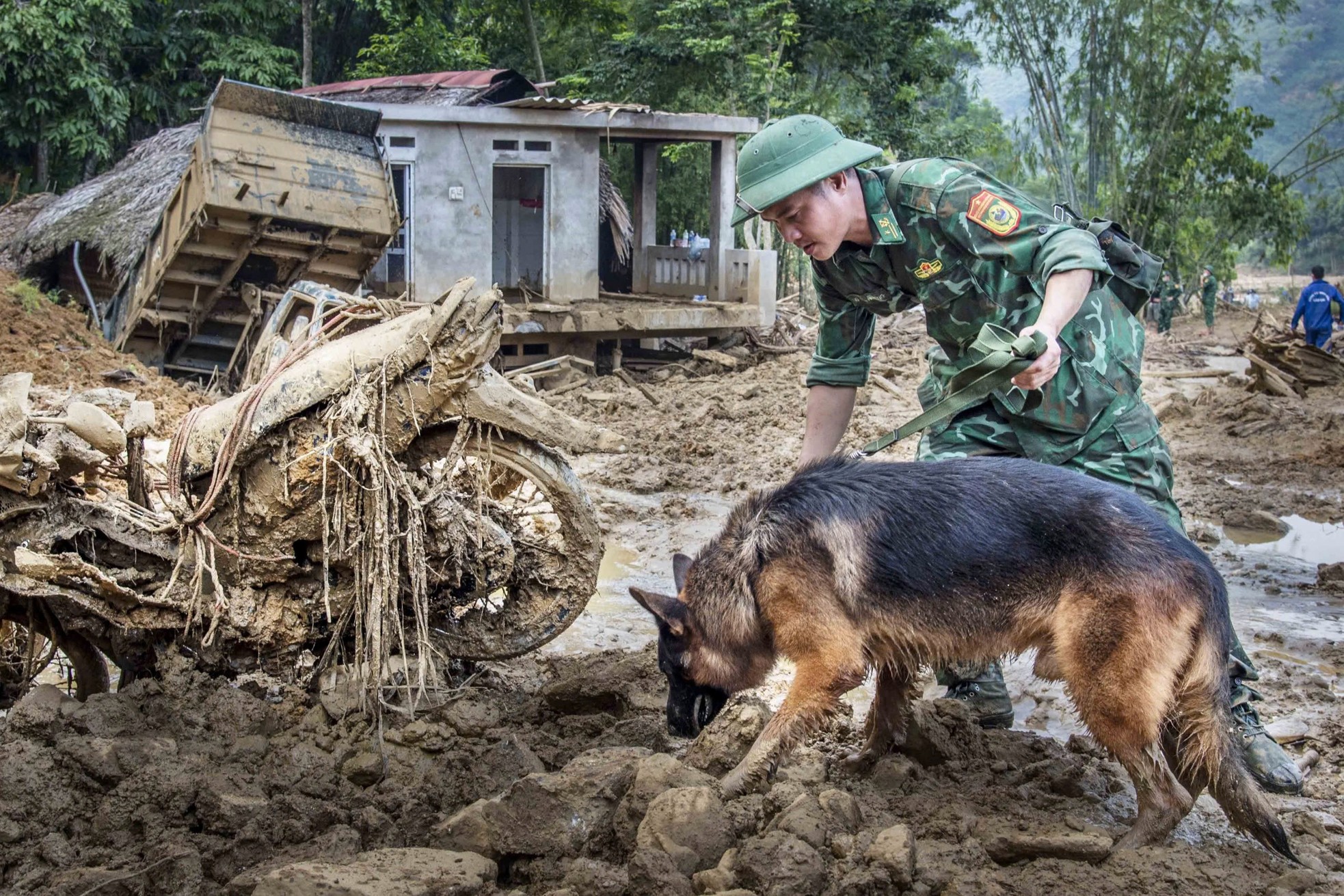 Cảm động những chú quân khuyển Biên phòng tìm kiếm tại Làng Nủ - Ảnh 3.