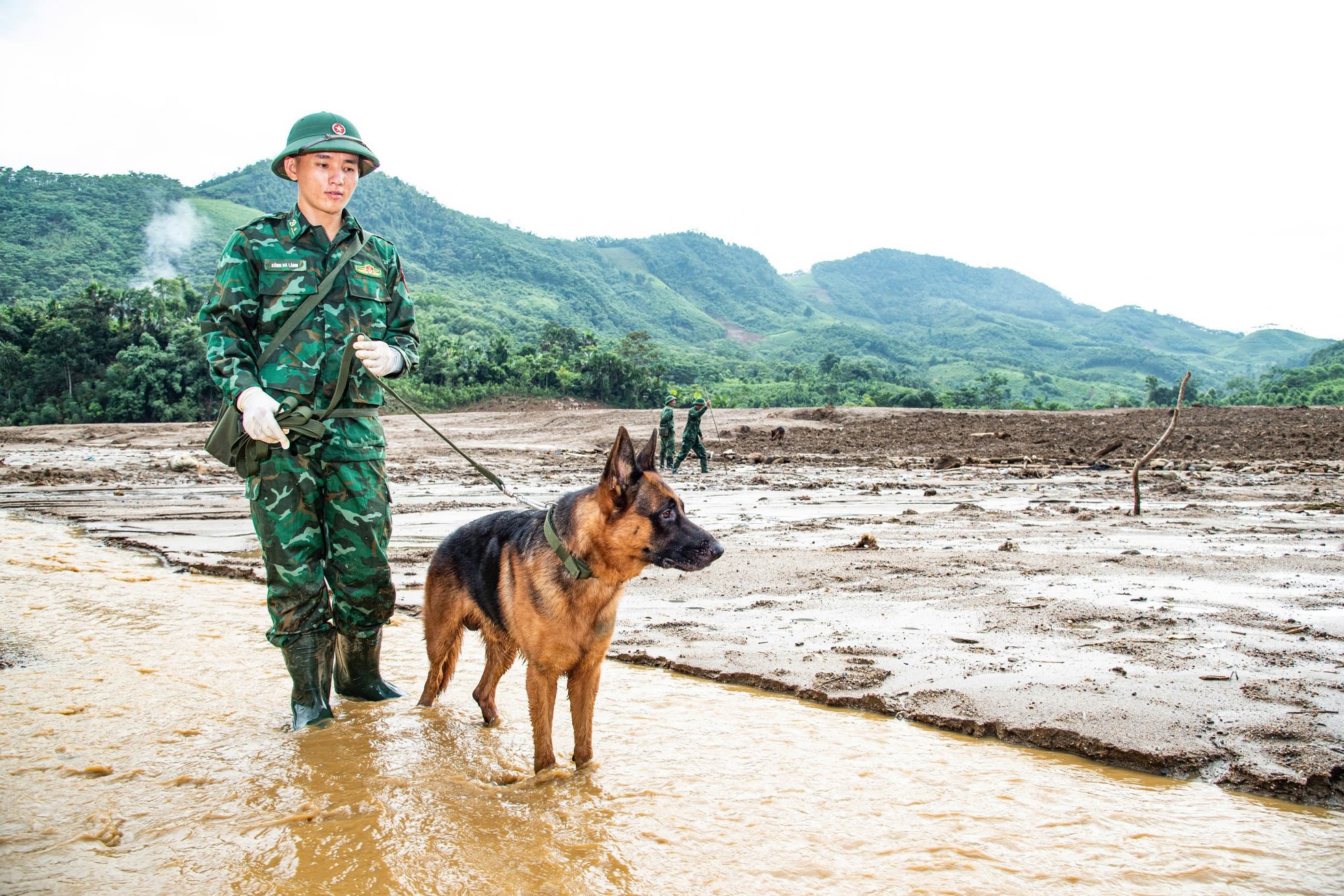 Cảm động những chú quân khuyển Biên phòng tìm kiếm tại Làng Nủ - Ảnh 2.