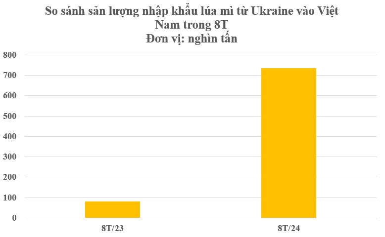 Báu vật lúa mì Ukraine đổ bộ Việt Nam tăng hơn 800 % , chớp cơ hội gom hàng giá rẻ - Ảnh 2.