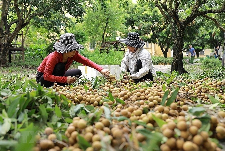 Một tỉnh lấy mốc 40 năm tái lập để phấn đấu lên thành phố trực thuộc trung ương- Ảnh 3.