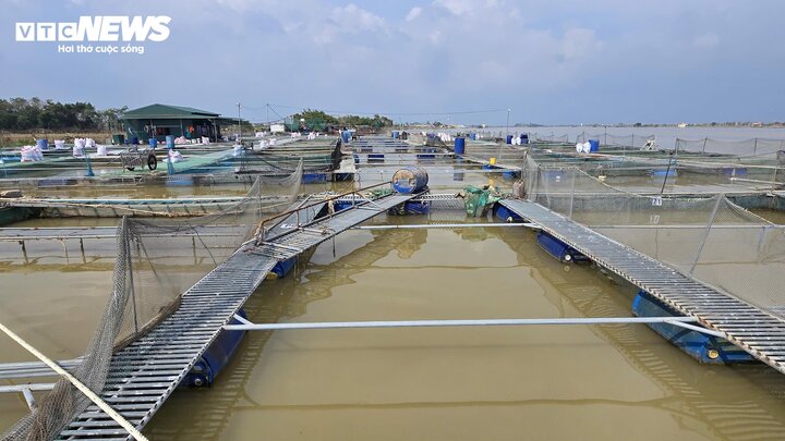 Lồng cá tiền tỷ bị bão Yagi cuốn trôi , nông dân Bắc Ninh ôm nợ - Ảnh 1.