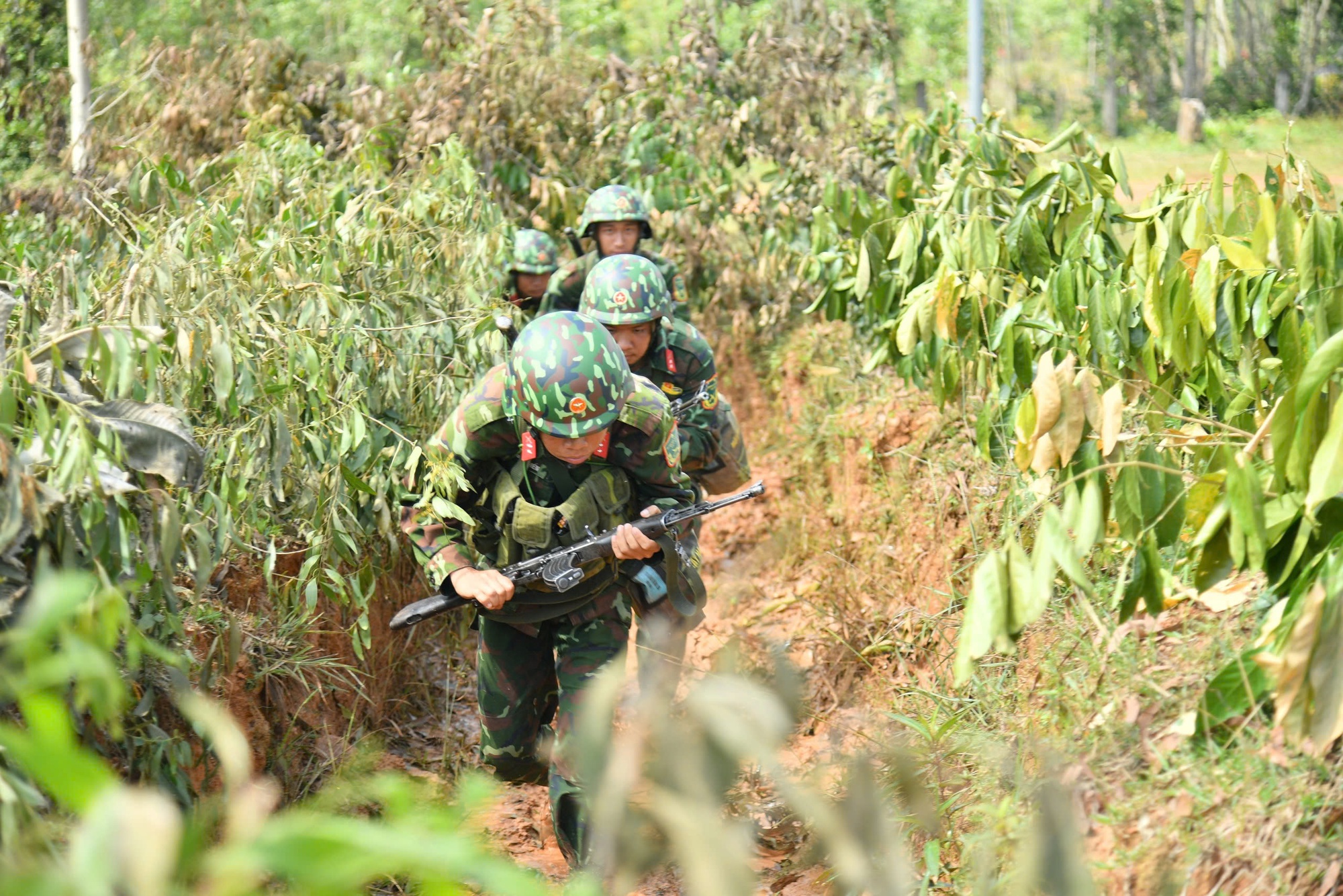 Những hình ảnh tham gia thực binh quy mô lớn ở Phú Quốc- Ảnh 4.