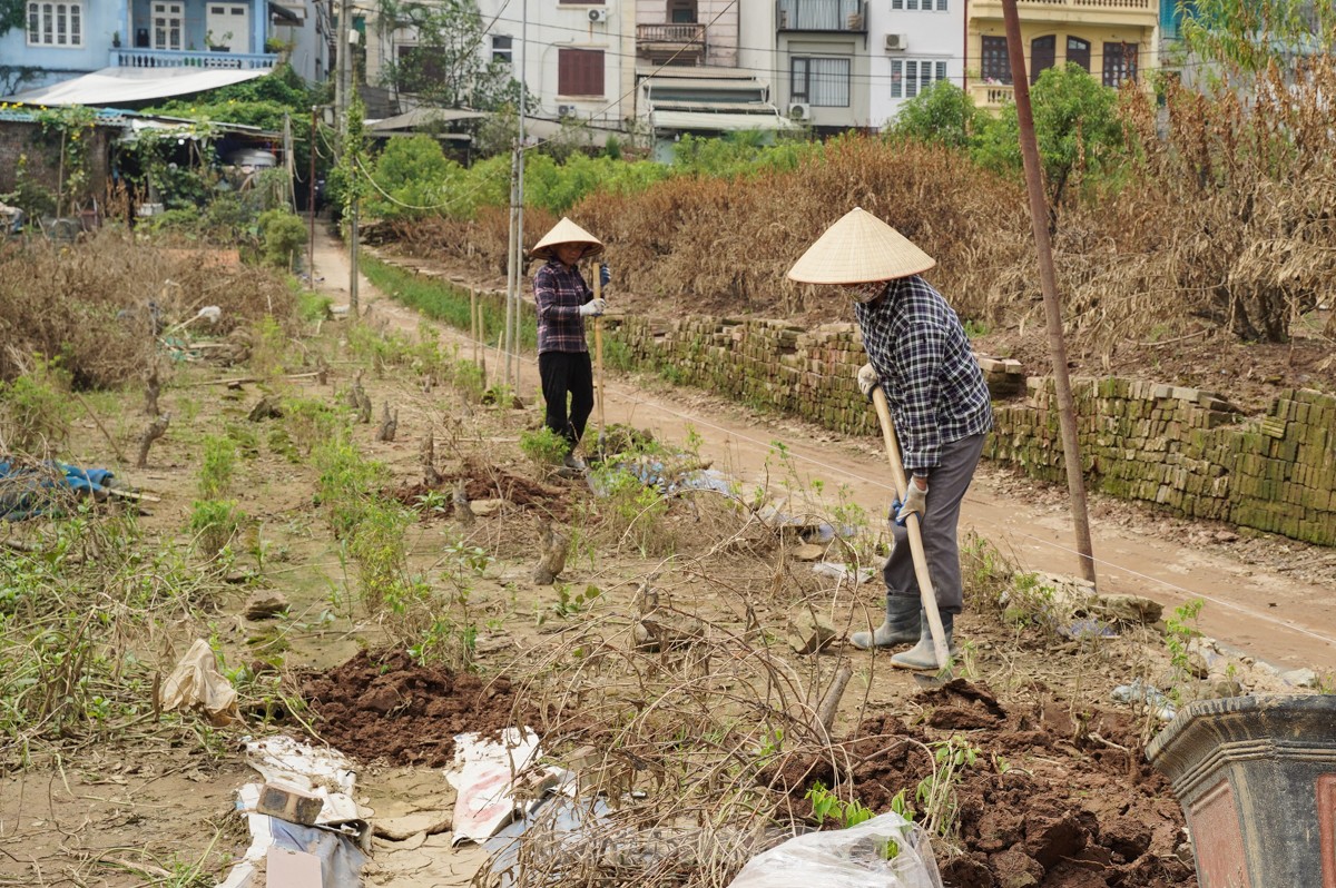 Người dân khóc nghẹn khi đốt từng gốc cây, nỗ lực 'hồi sinh' làng đào Nhật Tân sau bão lũ- Ảnh 14.