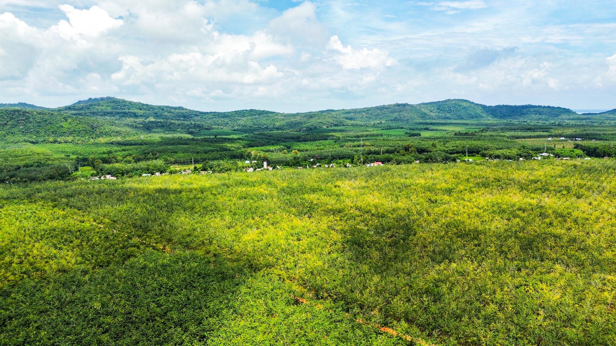 Toàn cảnh khu vực được đề xuất làm sân bay đầu tiên của tỉnh Bình Dương- Ảnh 1.