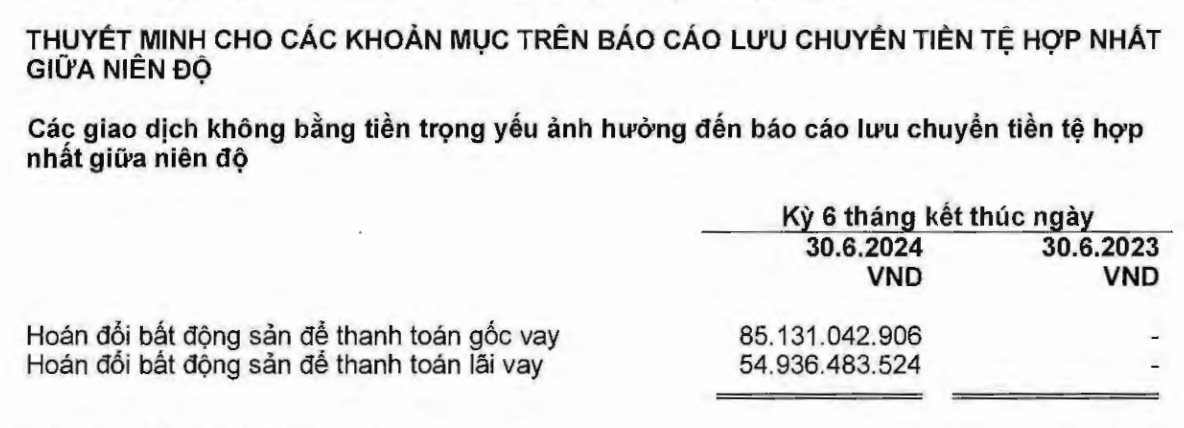 Rót hơn 569 tỷ đồng hỗ trợ Novaland, ông Bùi Thành Nhơn và các cổ đông lớn tiếp tục cam kết ‘bơm tiền'- Ảnh 2.