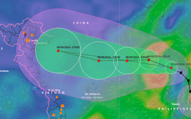 Hà Nội mưa dông diện rộng, cây đổ chắn ngang đường - Ảnh 6.