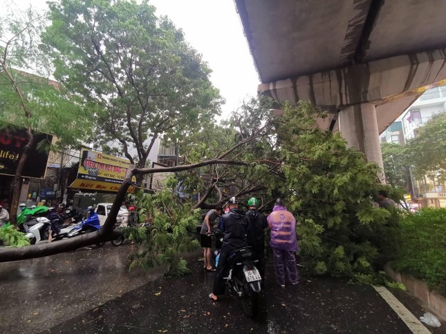 Hà Nội có thể đón gió giật cấp 10 do siêu bão YAGI - Ảnh 1.