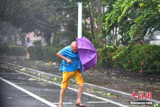 Siêu bão Yagi tấn công đảo Hải Nam: Gió lốc cuốn bay ô tô, xô đổ nhà cửa, vô số cây xanh bật gốc- Ảnh 7.