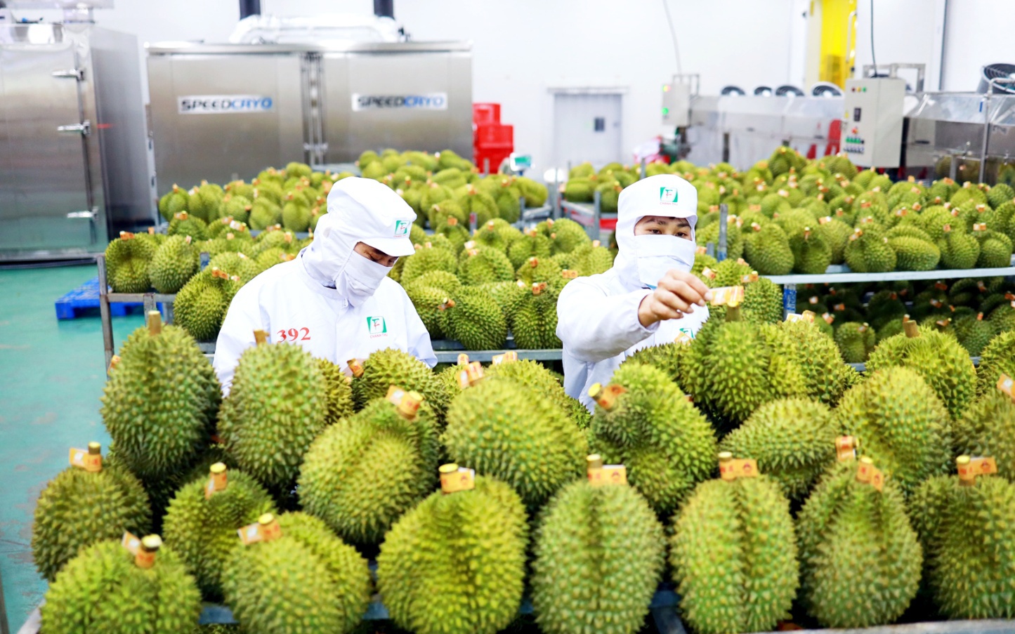 Bộ Tài nguyên và Môi trường thông tin về việc kiểm tra 2 vụ đấu giá đất ở Thanh Oai, Hoài Đức (Hà Nội)- Ảnh 2.