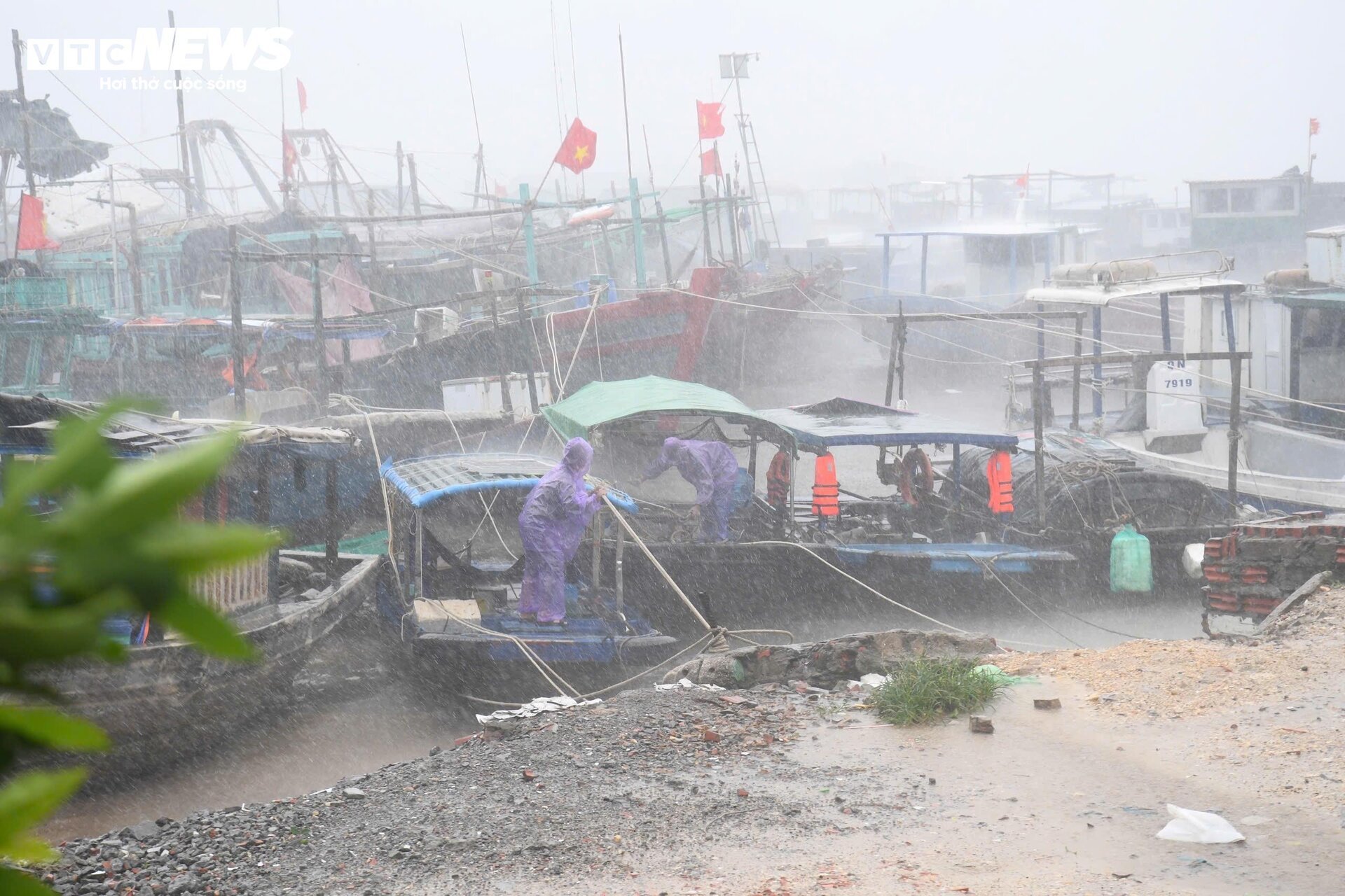 Bão Yagi nhấn chìm thuyền bè , ngư dân Quảng Ninh đau lòng - Ảnh 7.