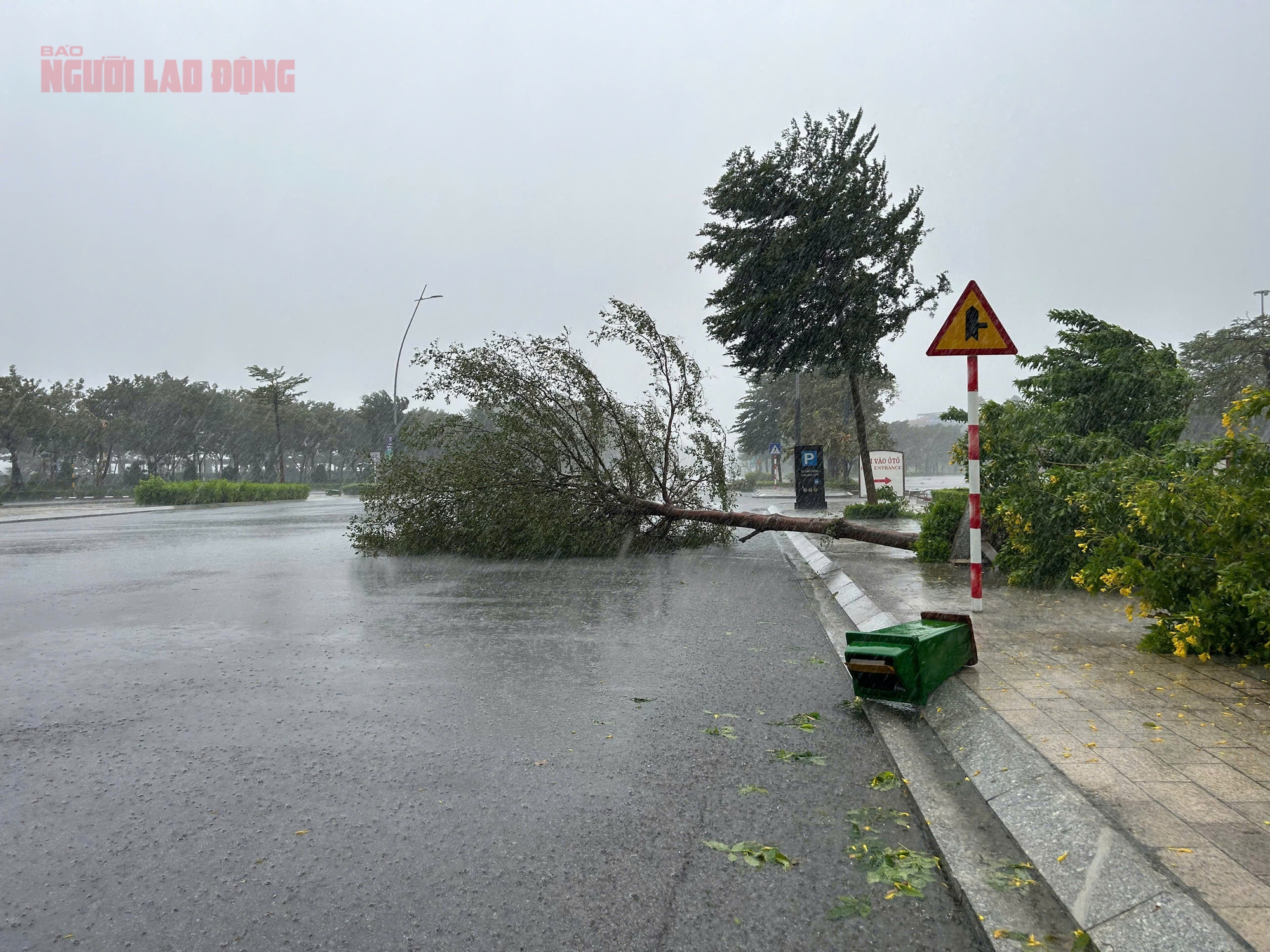 Bão đổ bộ Quảng Ninh - Hải Phòng, ghi nhận những thiệt hại ban đầu- Ảnh 3.