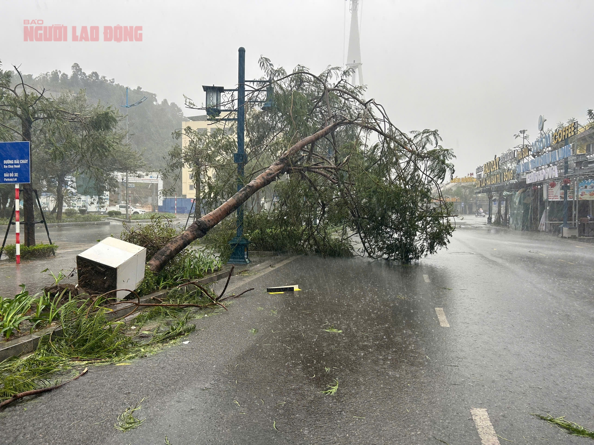 Bão đổ bộ Quảng Ninh - Hải Phòng, ghi nhận những thiệt hại ban đầu- Ảnh 4.