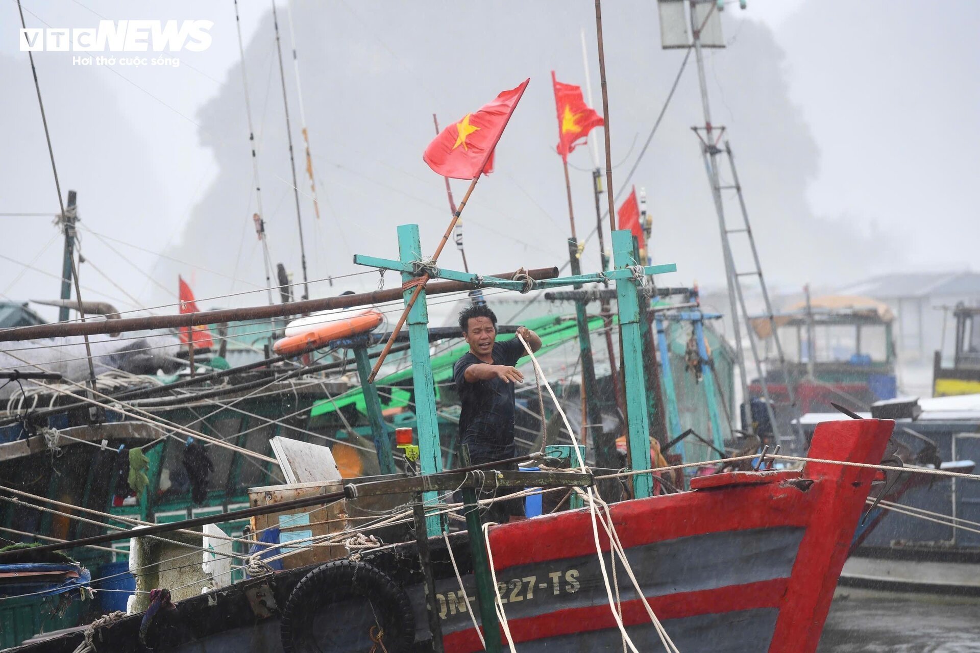 Bão Yagi nhấn chìm thuyền bè , ngư dân Quảng Ninh đau lòng - Ảnh 11.