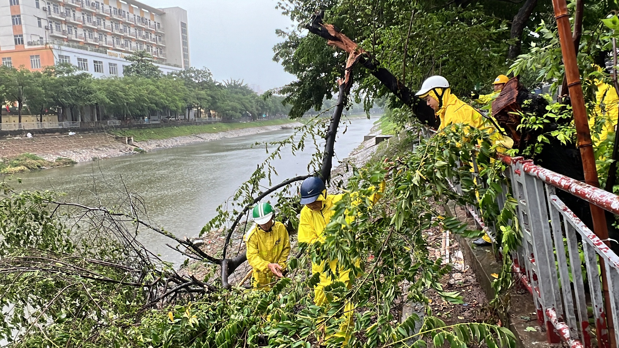 Ảnh hưởng của bão Yagi, Hà Nội bắt đầu mưa to, gió lớn- Ảnh 7.