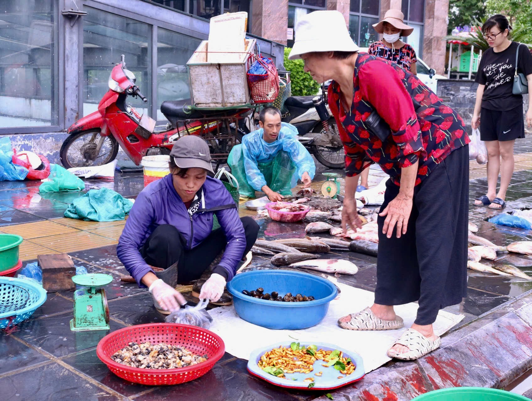 Chợ sớm sau bão: Vắng bóng tiểu thương, rau xanh tăng gấp rưỡi- Ảnh 8.